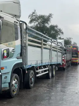 ကားတန်း🤍#fyp #foryou #nissan #ud #ထိုင်းကားမဟုတ်တဲ့ရှမ်းကား🇱🇹🤍💙🥰 #myanmartruckgroup🇲🇲 