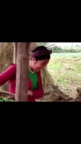 Phim hài hay#haithaydom #haimienbac#xuhuongtiktok2025 #foryou #anhnguyenreviu 