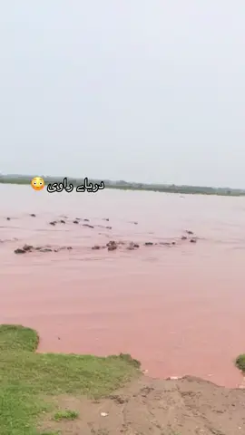 #ککےکے #سیلاب #کرتارپور_ناروال #forupageofficial 