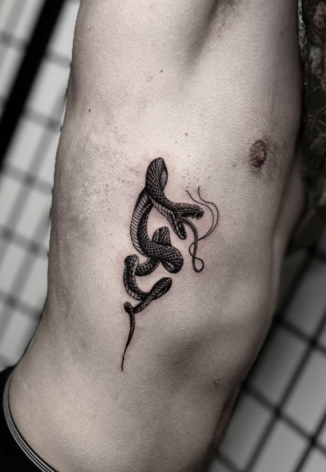 🐍 Bookings are open. Dm for info.  #tattoo #yyctattooartist #yyctattoo #yyctattoos #yyctattooer           (Realism tattoo, realistic tattoo, tattoo artist Calgary, black and grey tattoo, yyc tattoo artist)