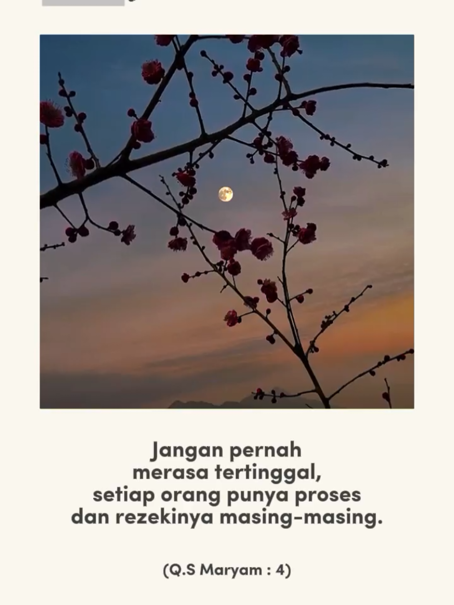 #CapCut #pioneertemplate #capcutpioneer #story #reminder 