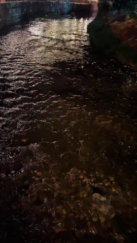 #تصميم_فيديوهات🎶🎤🎬تصميمي🔥 #fypシ゚viral #fyp #اكسبلورexplore #ستوريات 