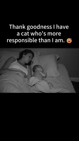 #fyp #viral #catsoftiktok #catgifts #fear #nope #cats #funnycat 