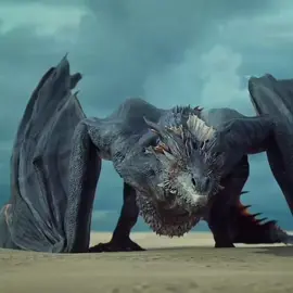 #dragões🐉🐉🐉 #houseofthedragon #gameofthrones 