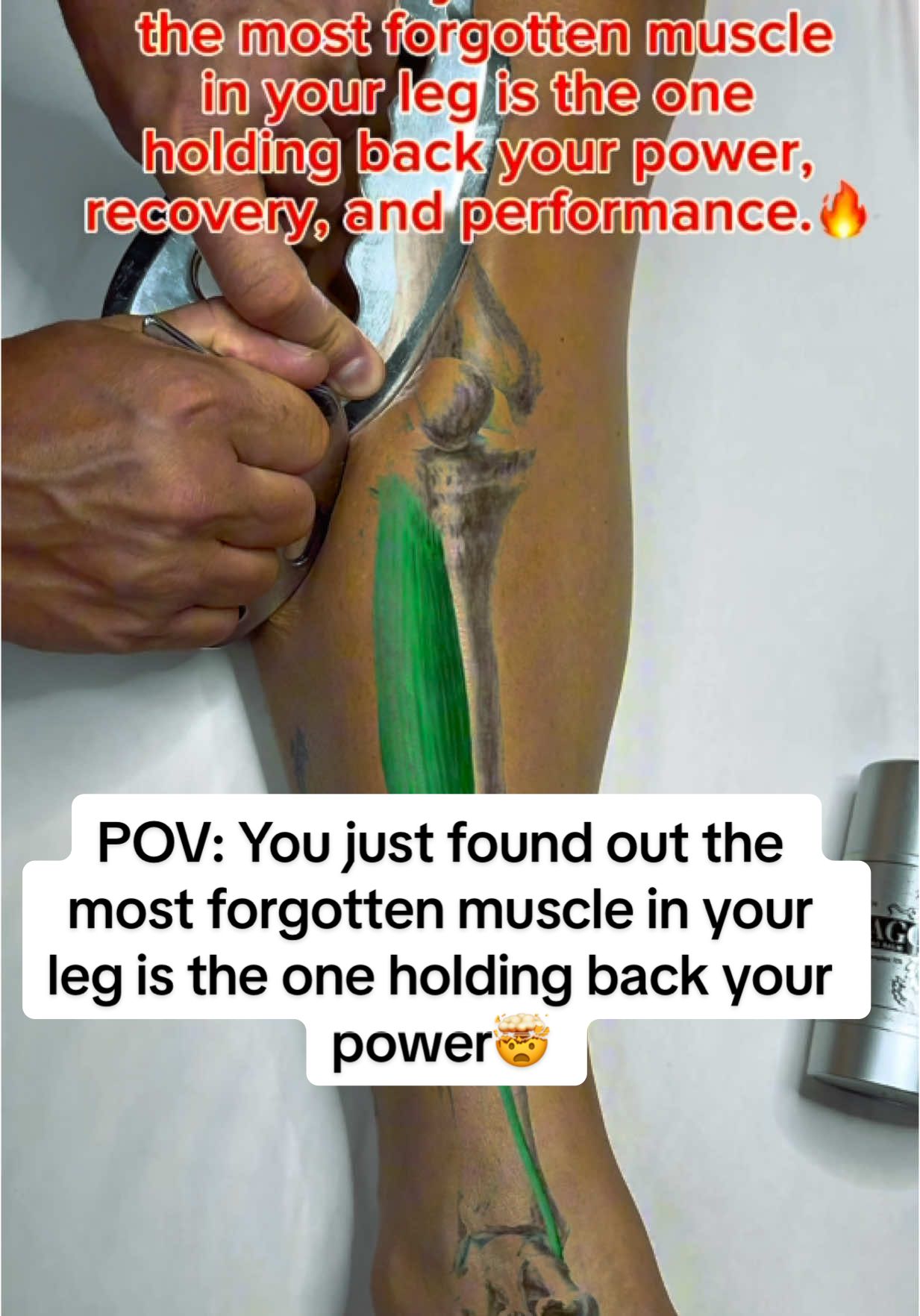 POV: You just found out the most forgotten muscle in your leg is the one holding back your power, recovery, and performance.🔥 Release this spot and suddenly your pain eases, your leg feels lighter, and you finally understand why THIS is what professionals get paid for.💸 #POV #legpain #fasciarelease #scrapingtherapy #shinpain #sportsmassage #kinesiology #fasciablasting #bodymechanics #healingvibes #sportsrecovery #deepmassage #guasha #triggerpointtherapy #legdayrecovery #dragonbalm 