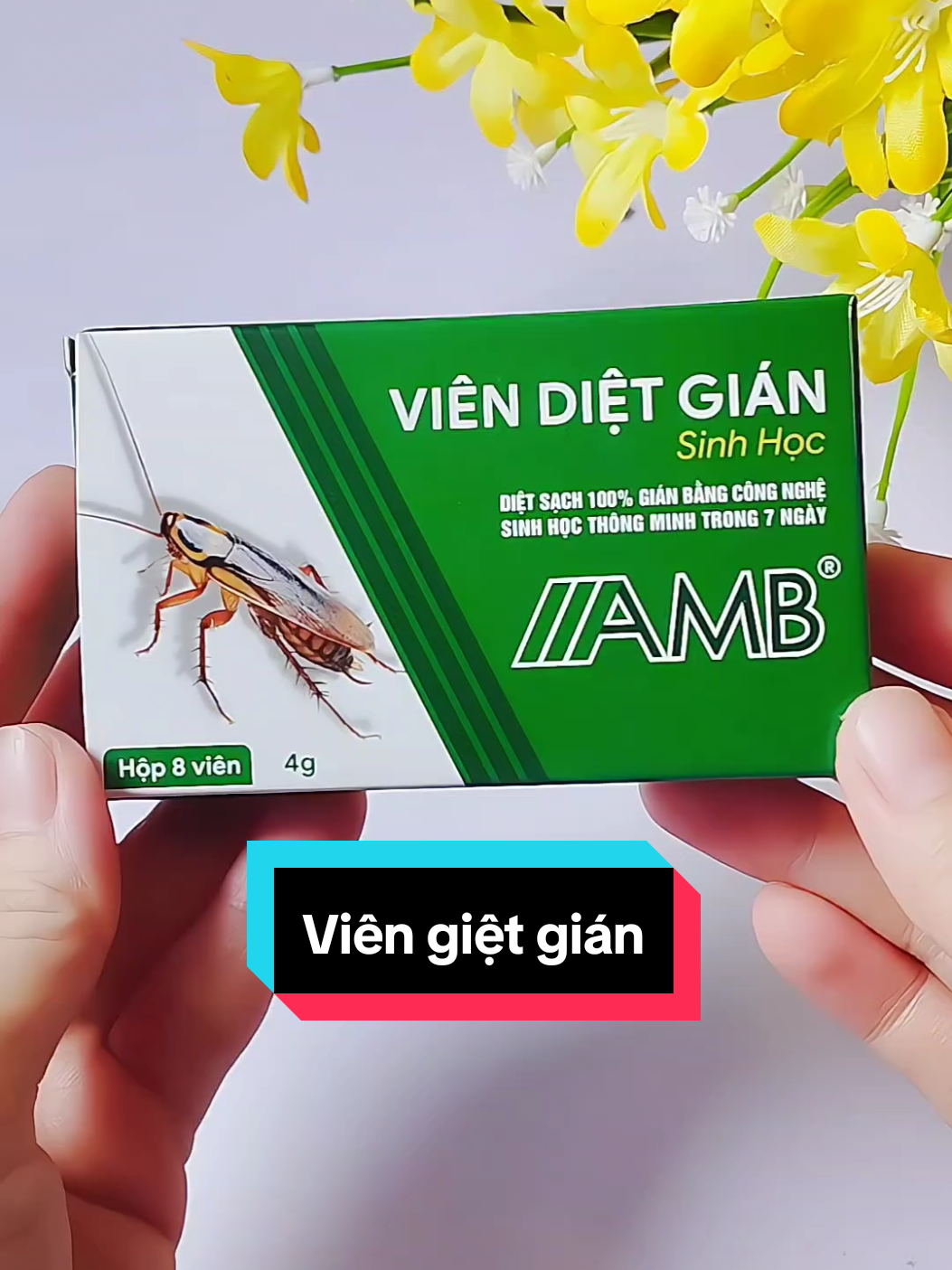 Viên diệt gián sinh học #viengietgiansinhhoc 