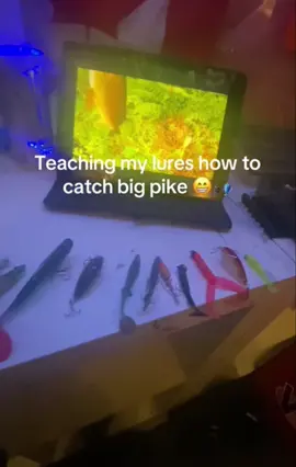 Real #fishtok #fishing #real #relatble  #funny 