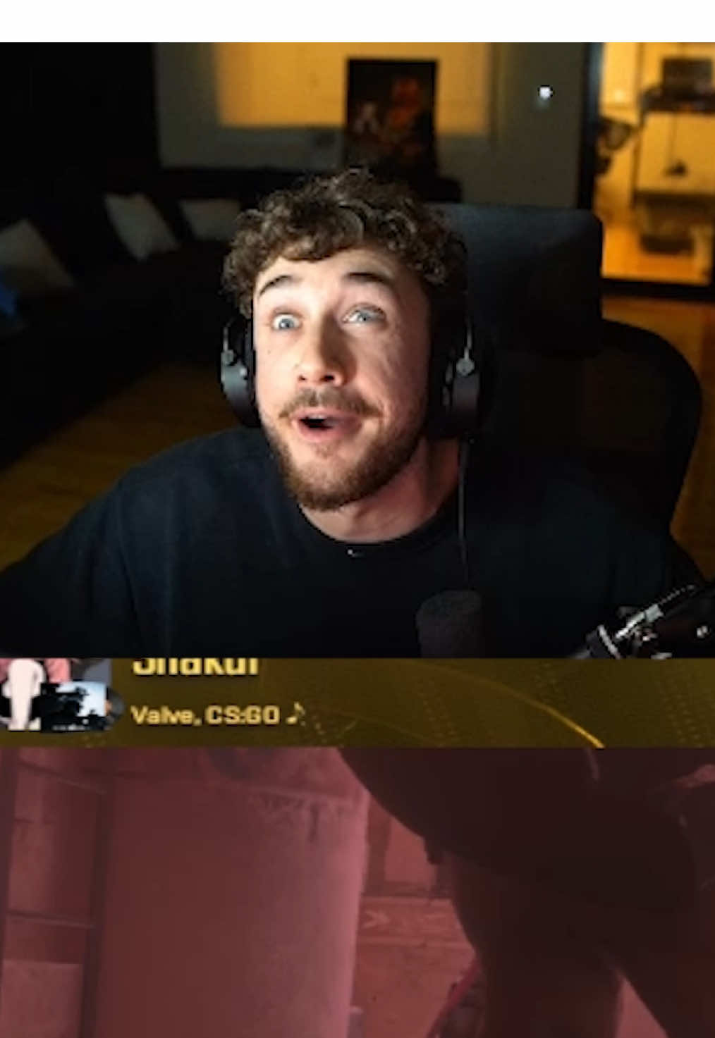 JAKSJSKA enloquecía de la nada  . . . #fyp #paratii #streamer #santutu #cs 