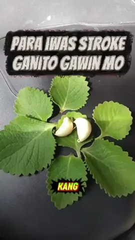 #muntingkaalaman💡 #highlights #everyone #blogger #djheartsmile26❤️‍🔥 