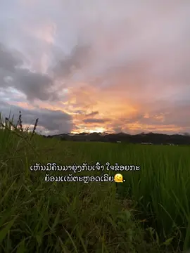 ເເພ້ເພາະເຂົາ ຫນ້າຕາດີ 