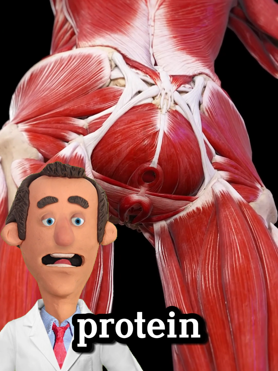The food with the most protein? #health #healthy #healthtips #DidYouKnow #body 