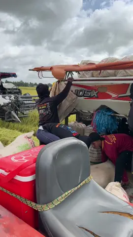 ba con mèo chay lai rai va ngày 