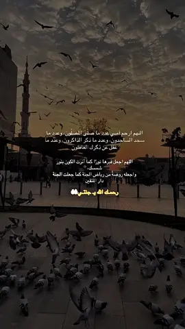 اللهم في يوم الجمعة إرحم أمي و إغفر لها ، اللهم إرحمها عدد ما صلى عبادك وعدد مارُفعت الأيادي لدُعائك ورجائك، اللهم إغفر لها وإفتح لها ابواب جنَّتك ، اللهم إجعل قبرها روضةً من رياض الجنة .. #اللهم_صلي_على_نبينا_محمد #يوم_الجمعه_خيرا_من_كل_يوم 