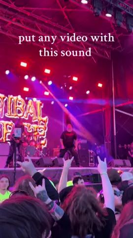 I’m FKN CRYINGGG WAIT FOR IT LOL my video of cannibal corpse I took this year at sonic temple 💀💀💀💀💀 #sonictemple #sonictemple2025 #cannibalcorpse 