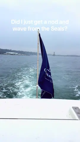 On our way out of San Diego we got checked out by the navy a couple times. Must be my new shiny aft end.