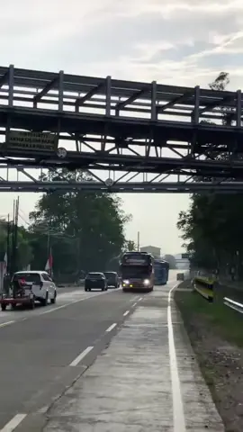 albino oyag lagi co  #creatorsearchinsights #trip24agustus #tripanyer2025 #bismillahfypシ 