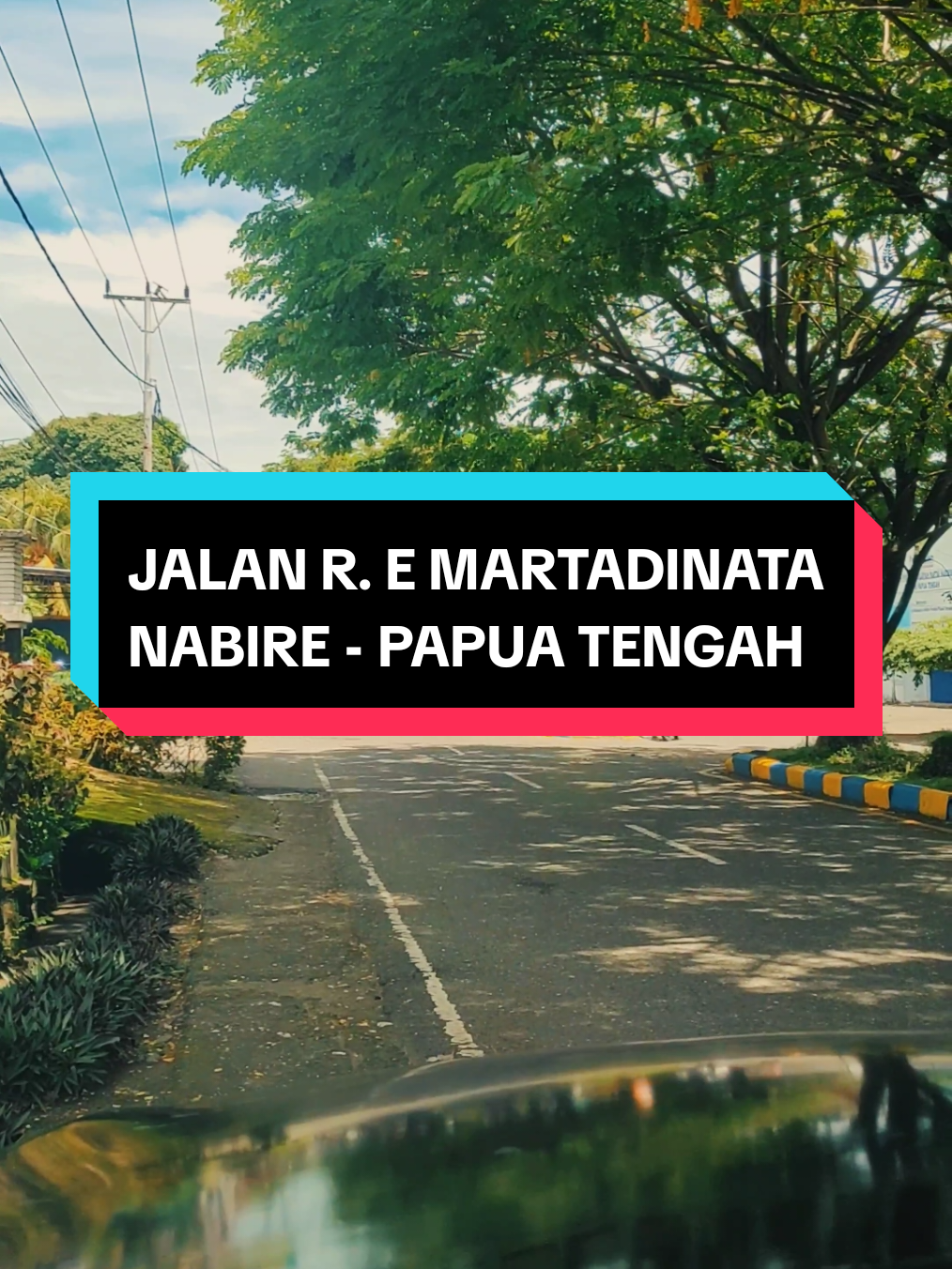 Berhenti Sejenak Di Jalan R. E Martadinata - Nabire, Papua Tengah.  Masih Nggak Bisa Move On Dari Teduhnya Pohon Trembesi Ini...  #indonesia #nabire_tiktok_comunity #nabire #papuatengah #fyppppppppppppppppppppppp 