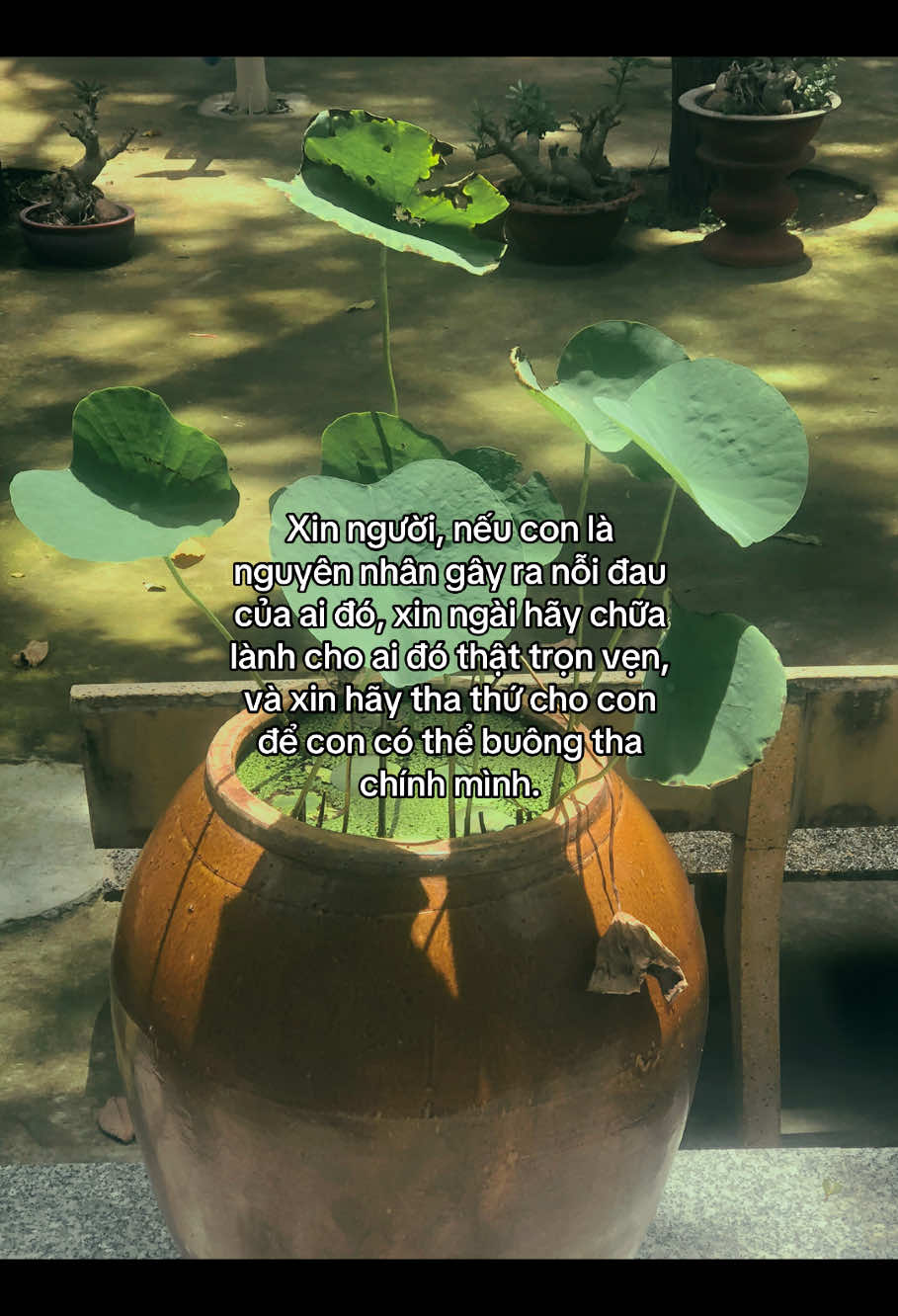 “ Có trái tim tựa như tiếng đàn , làm tôi yêu siết bao.. “#mtsociu #phatphap #chualanh #tichcuc #dgmaithy 