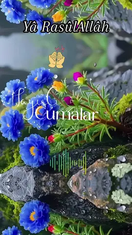 Allâh var Gam yok☝🤍👈🏻🌸 Lâ ilâhe illallâh🤲🏻🤍👈🏻🌸 Elhamdülillah🤲 🤍👈🏻🌸 Yâ Resûlallah🤲🌹 🤍🌹