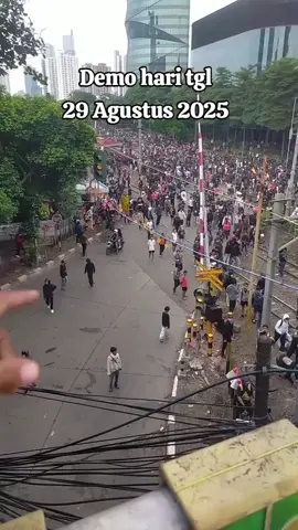 Lanjutan demo kemarin hari ini tgl 29 Agustus 2025 semua para ojol turun ke jalan #fyppppppppppppppppppppppp #fypage 