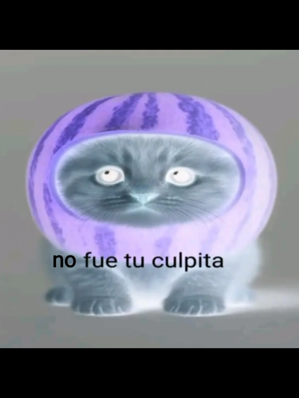 Top 5 fue tu culpa #fuetuculpa #fue #tu #culpa #fuenuestraculpa