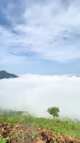 View triệu đô Phù Yên ❤️ #sonla #xaphuyen #maydep