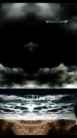 #في هذا اليوم #دق_التحيه_والسلام #شيلات #عباراتكم_الفخمه📿📌 #capcut @🦅❀༼طير ༽♡بلا♡جناح💔ᬽ✿ 