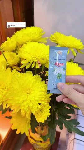Trả lời @thuongshop dùng nước dưỡng này thì hoa cứ tươi cả 14 ngày #shopgiadungtramtram #nuocduonghoa #nuocduonghoahana #banthothantai #banthogiatien  @Shop Gia Dụng Trâm Trâm  @Shop Gia Dụng Trâm Trâm  @Shop Gia Dụng Trâm Trâm 