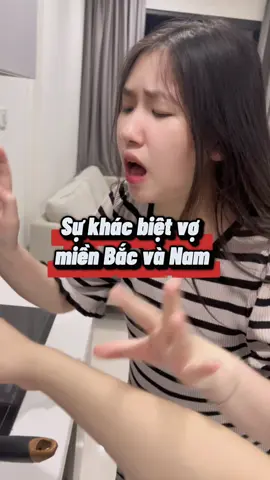 Sự khác biệt vợ miền Nam và Bắc #xuhuong #trending #minchan #giaitri #hai 