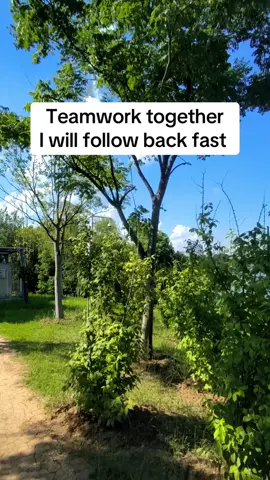 Teamwork together #teamwork #teamworkmakesthedreamwork #teamworkchallenge #teamworktrend #teamworkifb #teamwork10k #teamwork1minuteago #fyp #teamwork1hourago 