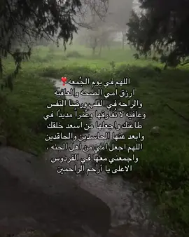 #اللهم_صلي_على_نبينا_محمد #الصلاه #الجنه #fyp #يوم_الجمعه 