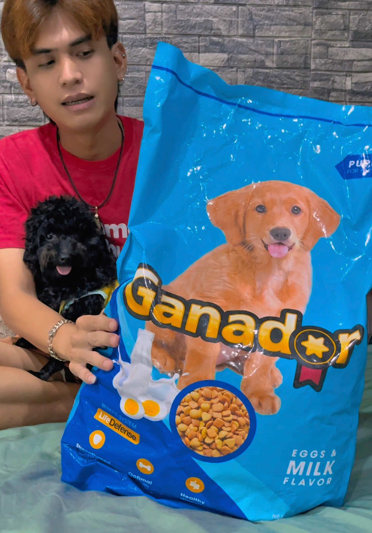 Thức ăn hạt mềm Ganador cho bé cún mới về thêm hàng cô chú ơi 🐶🥰#ganador #dog #poodle #xuhuong #tiktok 