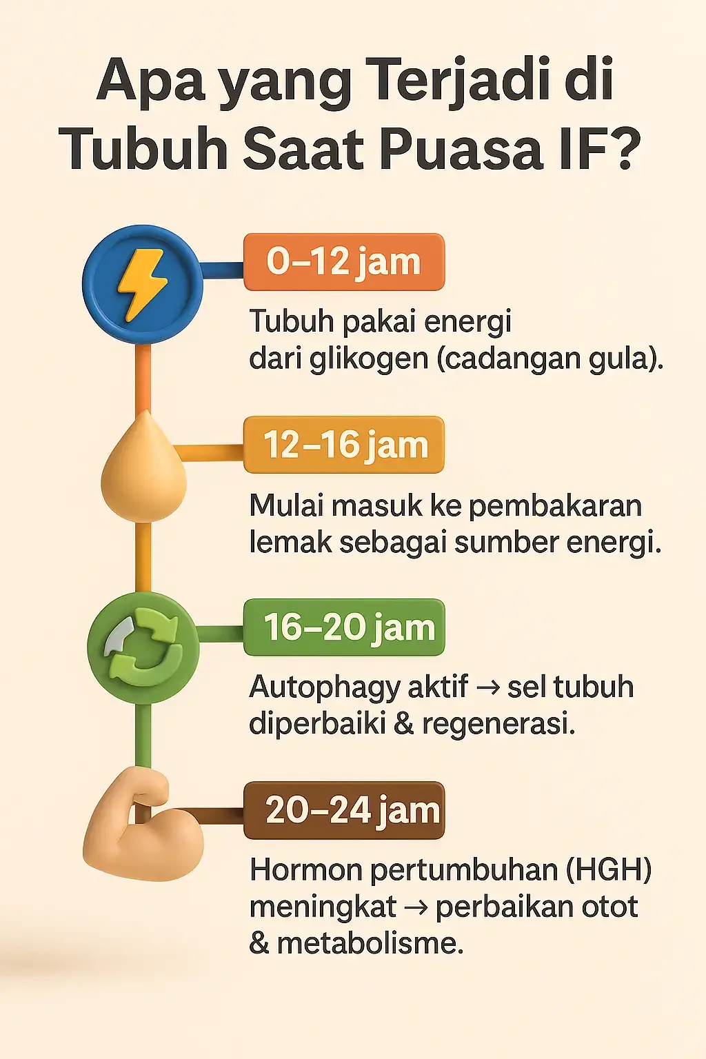 ✨ Timeline Tubuh Saat IF: ⏰ 0–12 jam → energi dari glikogen 🔥 12–16 jam → mulai bakar lemak ♻️ 16–20 jam → autophagy aktif (perbaikan sel) 💪 20–24 jam → hormon pertumbuhan meningkat #intermittentfasting #if #dietsehat #hidupsehat #tipsdiet 