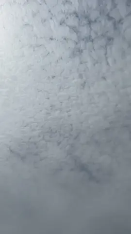 #ددسن_غماره #ددسن_ازرق #الحمدانية #الشعبيه_بدها_هيك #جدة #النزهة #اكسبلورexplore #شعبي #المضلم #المضلم #ددسن #