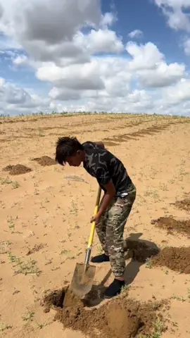 #cuocsong #boy #xuhuongtiktok 