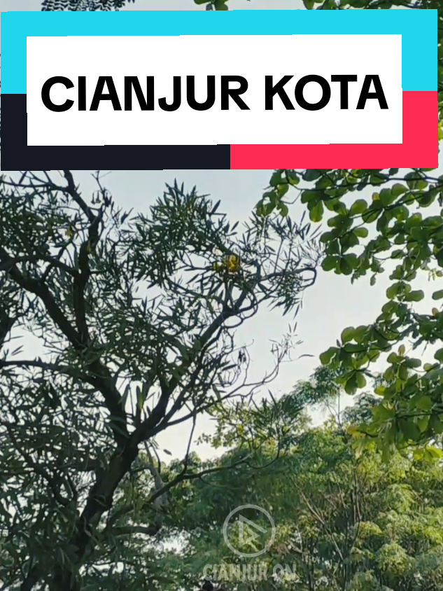 PEDESTRIAN CIANJUR KOTA #pedestrian  #pedestriancianjur  #cianjurkota  #cianjur #kotacianjur  