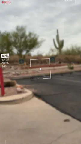 Mornings at work!! At least 10-12 deers!! This cat-mom loves nature and “some” wildlife!  #nature  #wildlife  #catmom  #catinfluencer  #catsoftiktok 