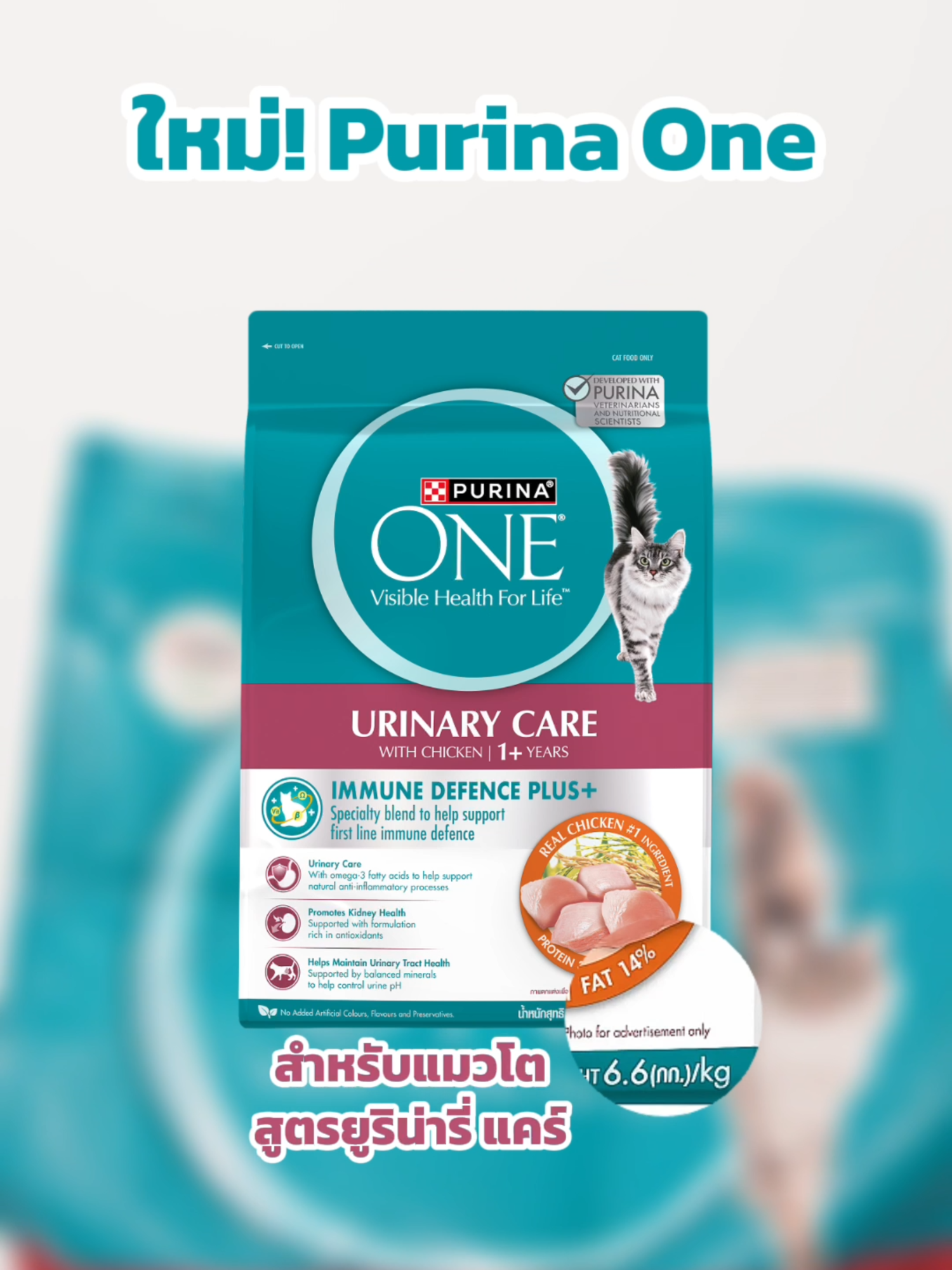 ขนาดใหม่จุใจ กับเพียวริน่า วัน สูตรแมวโต ยูริน่ารี่ แคร์ ไซส์ใหญ่ 6.6 กิโลกรัม! กดตะกร้าได้เลย ปักไว้ให้แล้วววว 🐈‍⬛✨ #PurinaOneTH #สุขภาพดีมีได้ทุกONE #PurinaOne3WeekChallenge #เพียวริน่าวัน3สัปดาห์ท้าลอง #purinaoneurinarycare