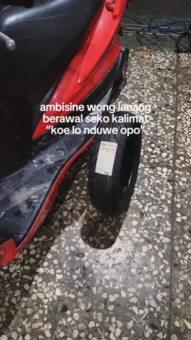sak mampune sak mlakune ojo nganti lakumu mateni pawone  Koncomu,,,🧠🧠🧠