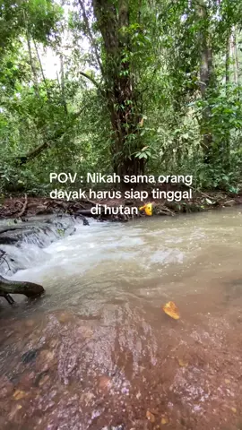 #kalimantan #fyppppppppppppppppppppppp 