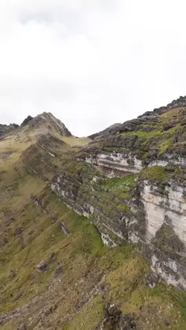 #condores #santanderdequilichaocauca #avesandinas  #naturaleza  #andino 