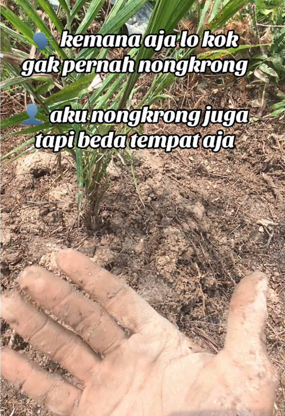 Kawan ku sekarng cangkul parang dan matahari😁#petani #petanisawit #kebunsawit #petanimuda #ppks 