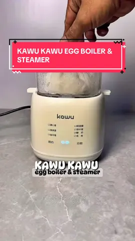 Egg boiler & Steamer. #eggboiler #steamer #steamers #kitchengadgets #fyp 