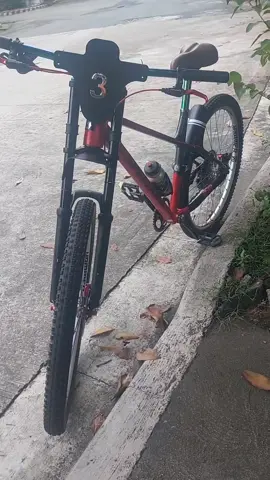 cash or hulogan... speedone mtb..29...loaded