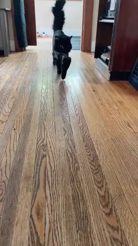 Back to the original boots. 