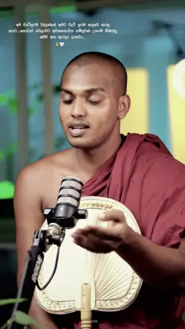 මේ දවස් වල කොල්ලො කෙල්ලො ආසවෙන අහන බණ 🥺🙏🤍 #wadansinhala #fypシ゚viral #foryou #viralvideo #fyyyyyyyyyyyyyyyy 