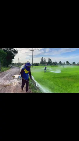 ขับไล่หนอนน้อย🤫🌾🐛💨💯🤟🏻 #ชัยนาทหวานเจี๊ยบ #เครื่องพ่นยา #ท้ายพายุ #ฟีดดดシ #767บ้านนา #fypdongggggggg #เทรนวันนี้ #หนอน #วัยรุ่นรับจ้าง 