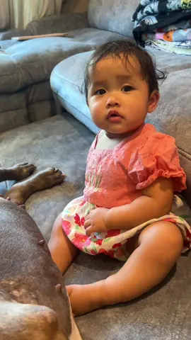 จัสมินกับเจ้าปั้น #ลูกแฝดมอสเจีย #แฝดจัสมินจัสติน #เทรนด์วันนี้ #มอสเจีย 