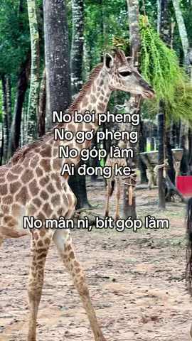 bít góp lầm #VinWonders #GreenCreator #dulich#vinpearlsafariphuquoc #haihuoc 