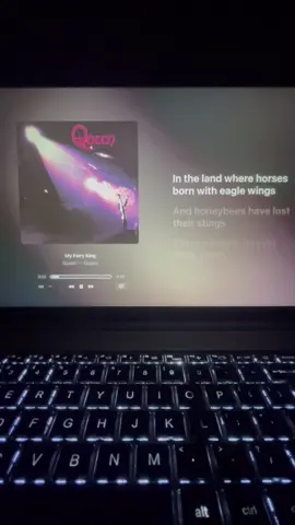 My Fairy King 🧚‍♀️ #fyp #fpy #queen #myfairyking #freddiemercury 